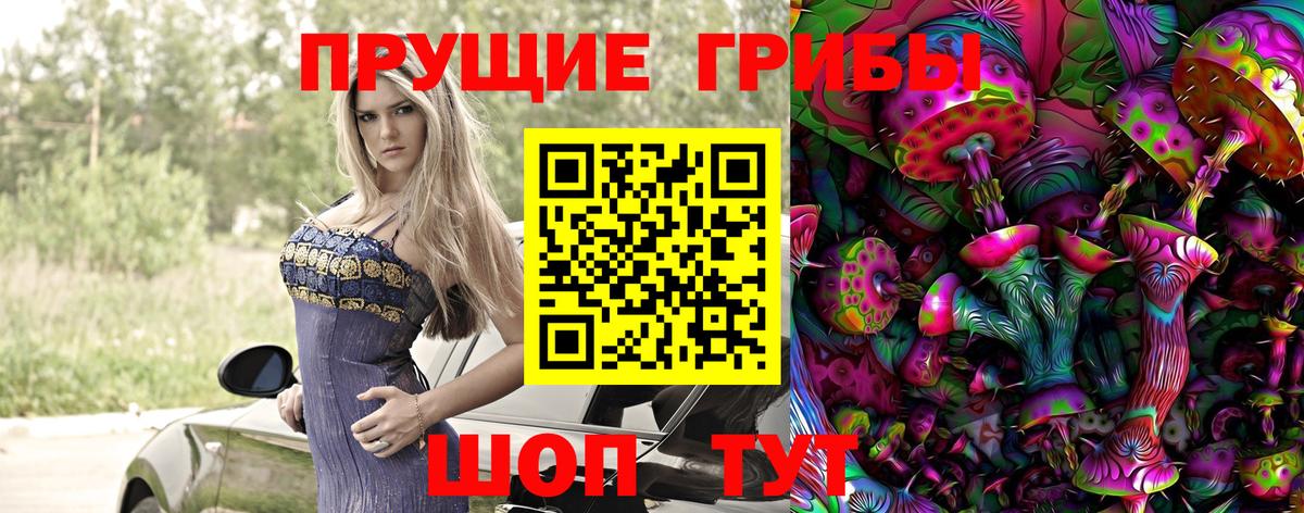 Галлюциногенные грибы ЛСД  Вход с VPN  Ачхой-Мартан 