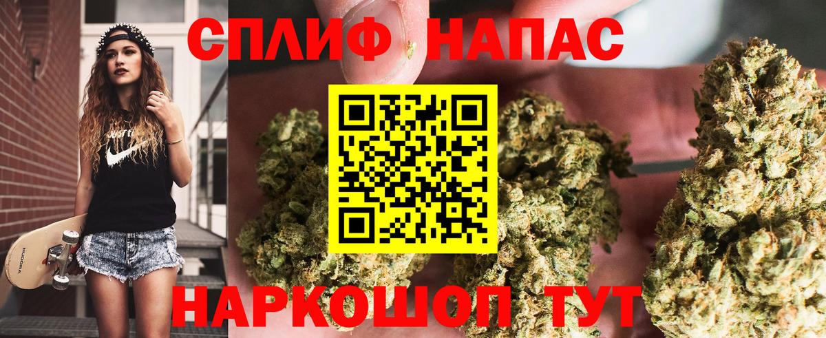 Конопля семена Ачхой-Мартан
